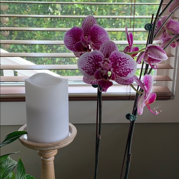 Meet your Posher, Terri - Picture 1 of 1